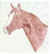 horse2.jpg (10850 bytes)