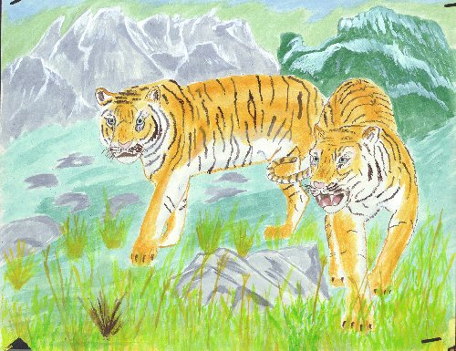 tiger1.jpg (72112 bytes)