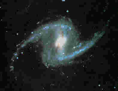 NGC1365