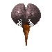 brainclr.gif (8120 bytes)