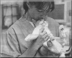 Another Pic of Murry The Wonder Kitty