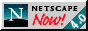 netnow4.gif - 2.09 K