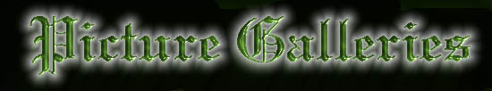 picturegalleriestop.jpg - 14.56 K