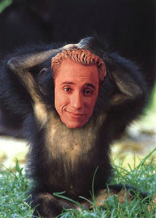 ajchimp