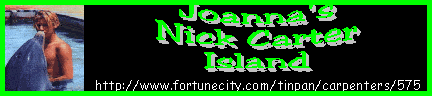 Joanna's Nick Carter Island