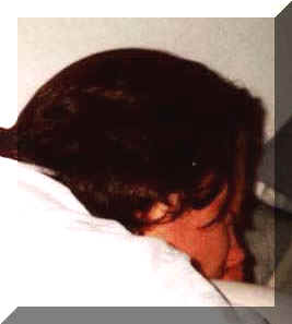 Vevet.jpg (36249 bytes)