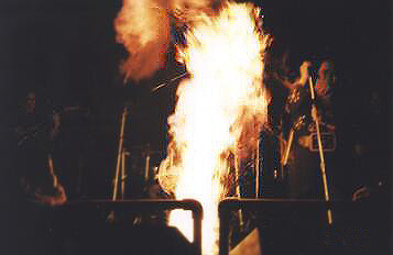 Elvis28.JPG (9123 bytes)