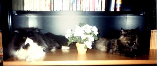 TelisArina.jpg (11538 bytes)