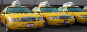 cabs.jpg (10548 bytes)