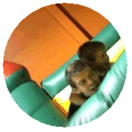 work.gif (11054 bytes)