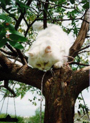 larry.jpg (62763 bytes)