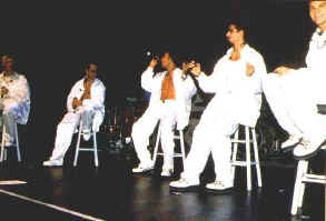 bsbwhite.jpg (20204 bytes)