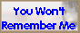  You Won't 
Remember Me 