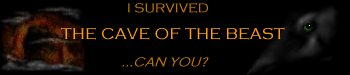 Survivor Banner