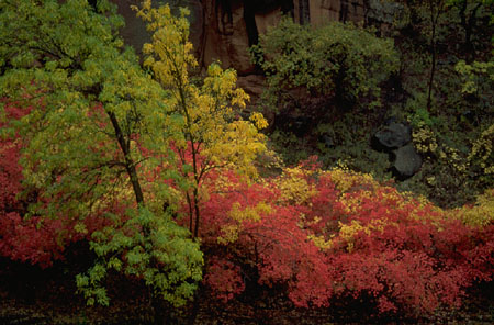 PH01370J.JPG (61506 bytes)