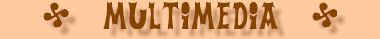 multimedia.jpg (3943 bytes)