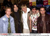 bsb402.jpg (67332 bytes)