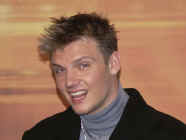 n210.jpg (34768 bytes)