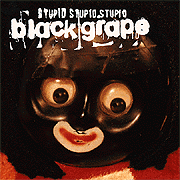 Stupid Stupid Stupid cover art