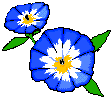 flower01.gif (3698 bytes)