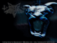 Dark Funeral wallpaper