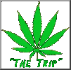 The Trip