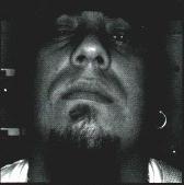 FiEldY