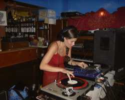 Summerjoy_3_thumb.jpg (6600 bytes)