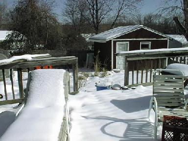 Picture of Snow in the Daytime