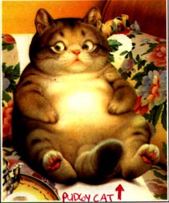 tHe PUDgY cAT!!!