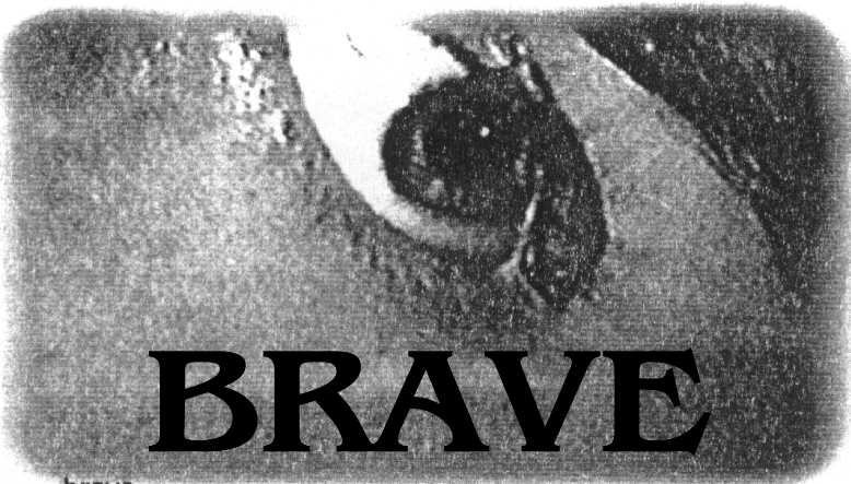 brave.JPG (49873 bytes)