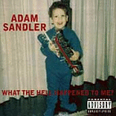 Adam Sandler - What the Hell Happend to Me