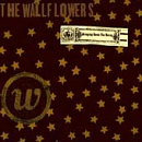 The Wallflowers - Bringing Down the Horse