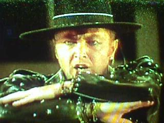 fof79.jpg (25694 bytes)