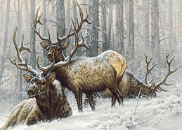 elk.jpg (72777 bytes)