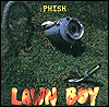 Image of lawnboy.gif