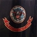 Regimental Flag