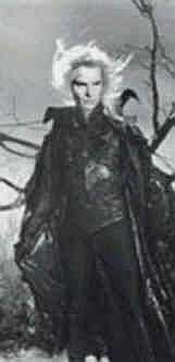 inwintergarden.jpg (28422 bytes)