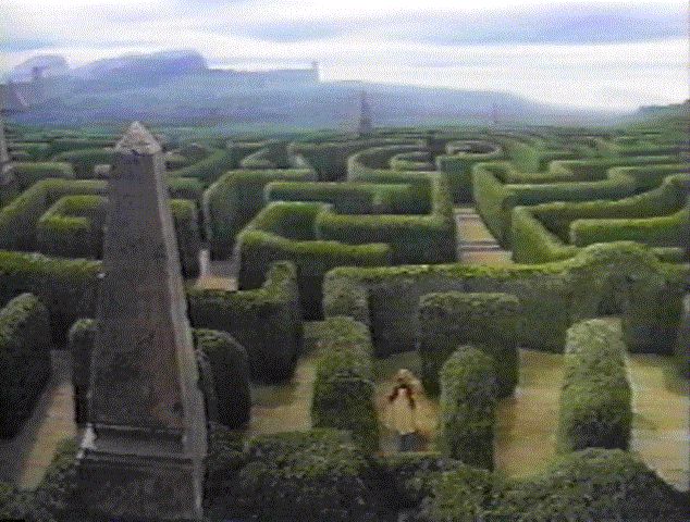 maze2.jpg (85658 bytes)