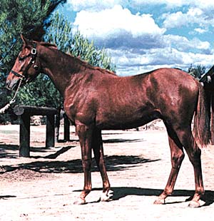 48617.jpg (35710 bytes)