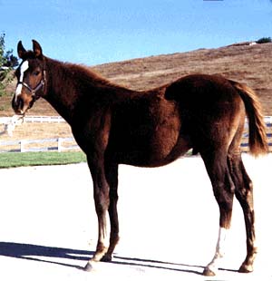 48906.jpg (21937 bytes)