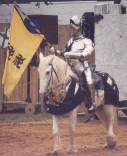 joust1.gif (68227 bytes)