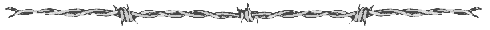 wire2.gif (2735 bytes)