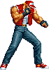 Terry Bogard