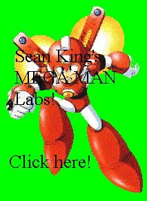 Sean King's MEGA MAN Labs