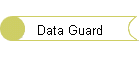 Data Guard