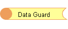 Data Guard