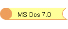 MS Dos 7.0