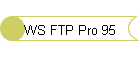 WS FTP Pro 95