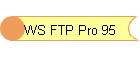 WS FTP Pro 95